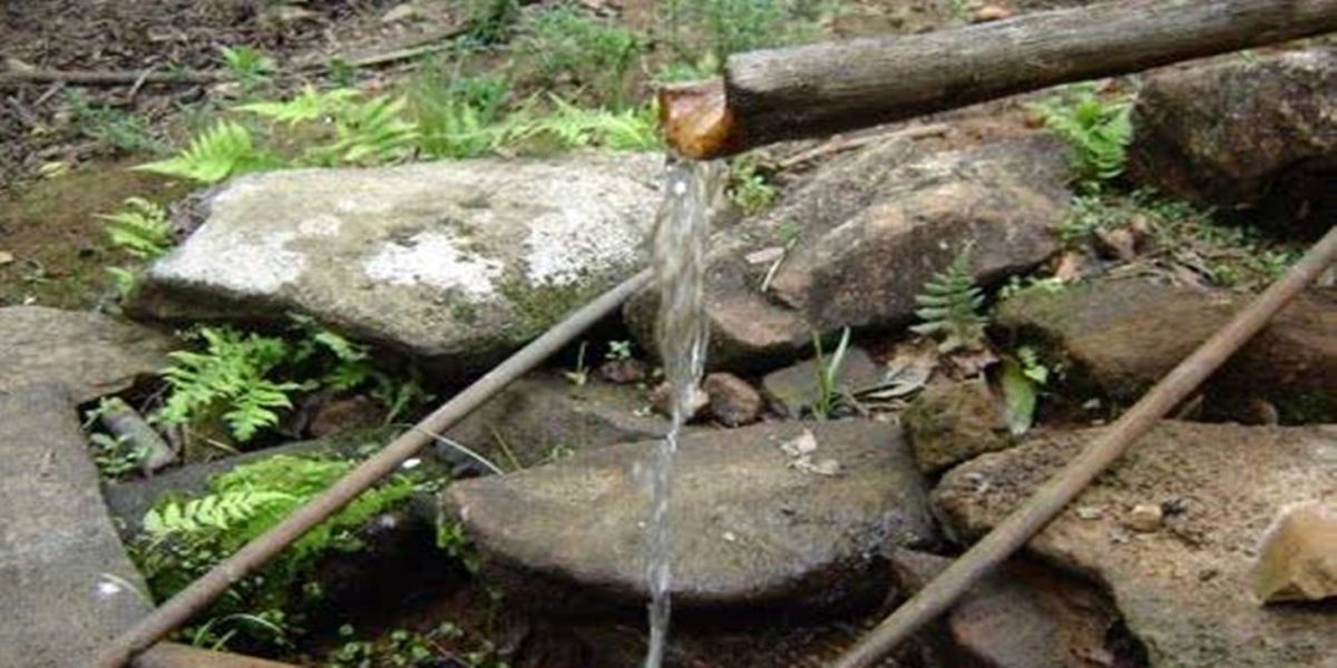 Coopavel recebe prêmio inédito de sustentabilidade