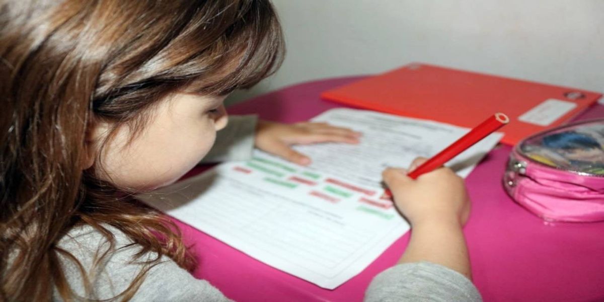 Educação lança pesquisa sobre as atividades remotas