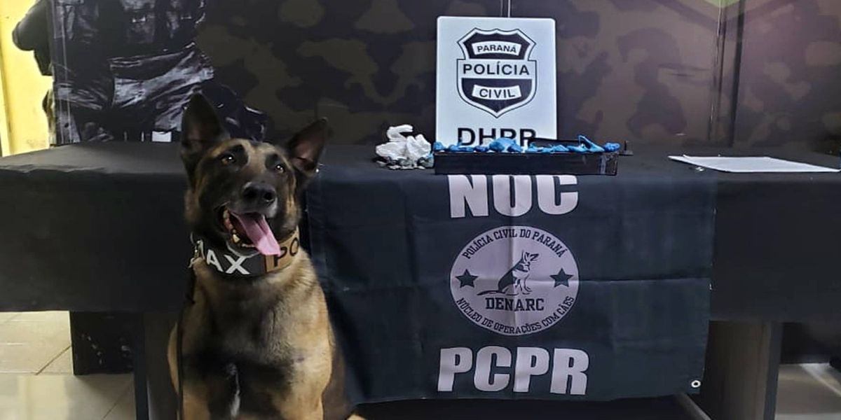 PCPR prende três suspeitos de homicídio ocorrido após festa em motel de Curitiba