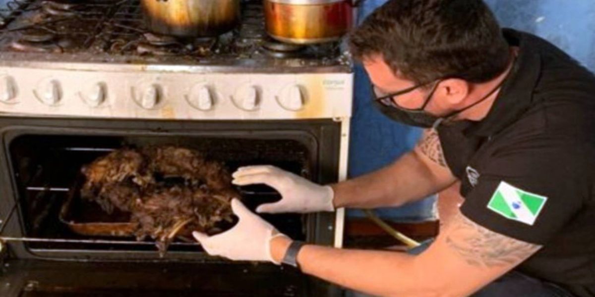 Homem mata, assa e come cachorro em Curitiba