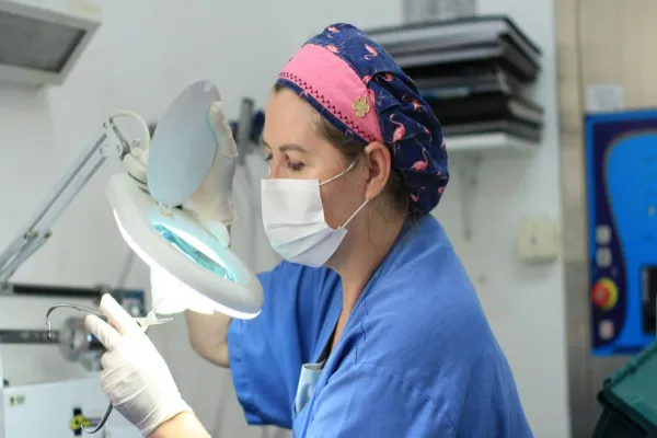 Foto relacionada a notícia: Investimentos na Central de Materiais consolidam avanços importantes no Hospital Universitário