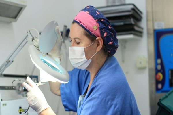 Investimentos na Central de Materiais consolidam avanços importantes no Huop