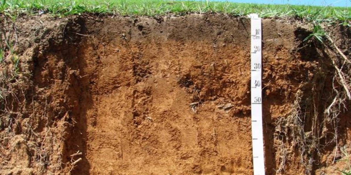 Show Rural Edição de Inverno: Análises de solo evoluem para melhor performance agrícola