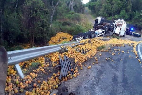 Pai e filho morrem em acidente na BR-153 no Paraná