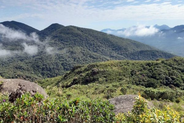 Parques Estaduais reabrem neste sábado, com restrições