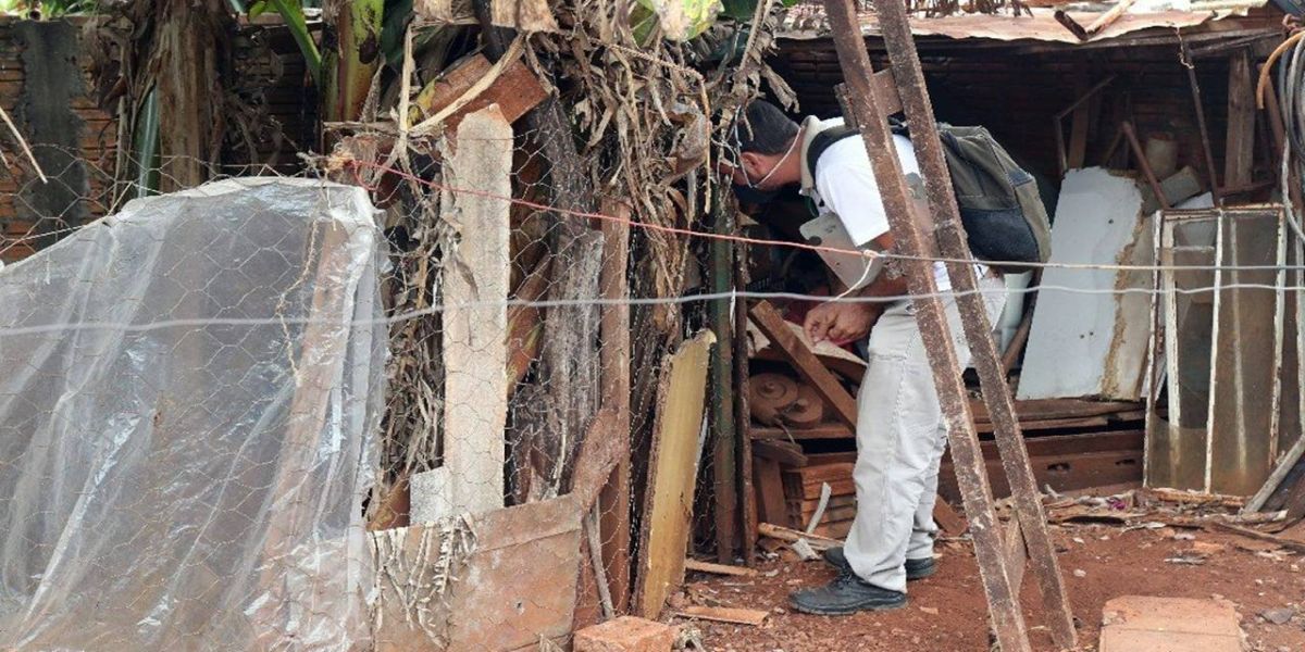 Dengue: Combate ao mosquito não pode parar no inverno!