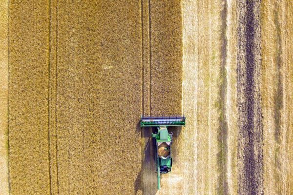 Produção de grãos deve bater recorde de 253,7 milhões de toneladas