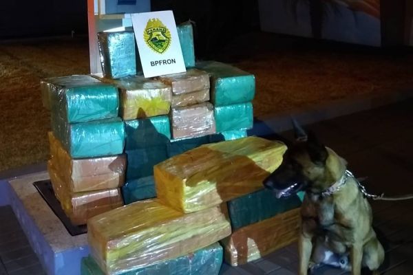 BPFRON apreende quase 400 kg de Maconha em Toledo