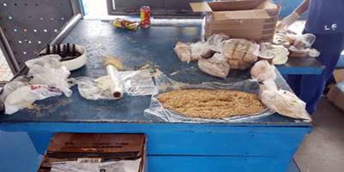 Familiar de preso envia 200 gramas de cocaína misturada à farinha Penitenciária de Francisco Beltrão