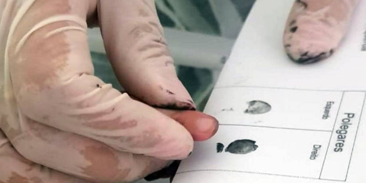 Com sistema ágil, Paraná já emitiu 2 milhões de Carteiras Nacionais de Identidade