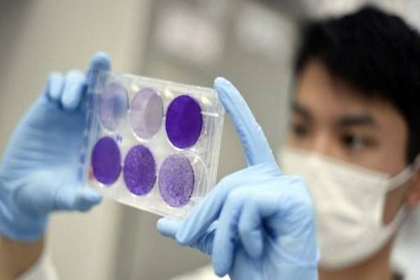 Vacina brasileira em spray contra a Covid-19 avança e pode chegar em 2021