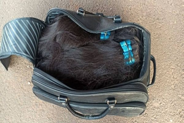 PRF apreende R$175 mil em cabelos contrabandeados em Guaíra