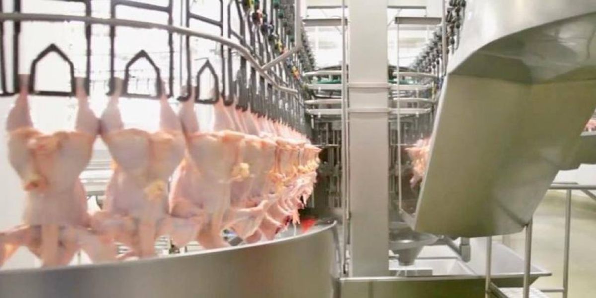 Hong Kong anuncia suspensão de importações de planta frigorífica de SC por suspeita de covid-19