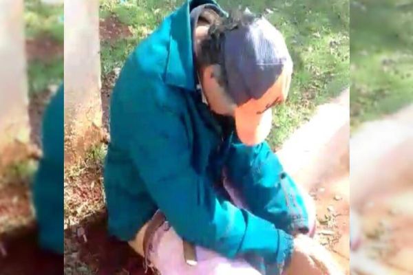 Homem senta em formigueiro em troca de pinga e caso vai parar na delegacia