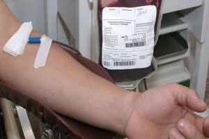 Doação de sangue tem novas regras; veja o que mudou