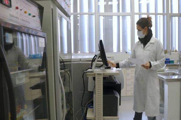 Bolsistas atuam em todo o Estado em ações voltadas à Covid-19