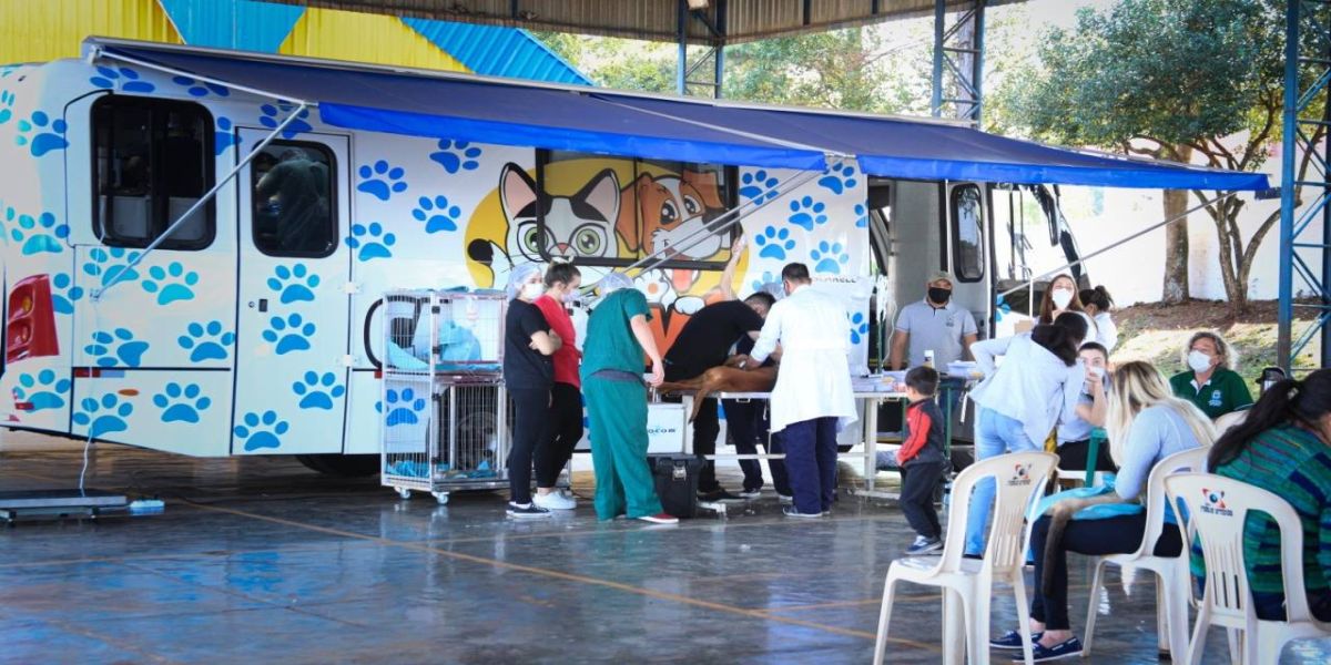 Castramóvel abre cadastramento para cirurgias gratuitas de cães e gatos no Cras Riviera na próxima terça-feira (19)