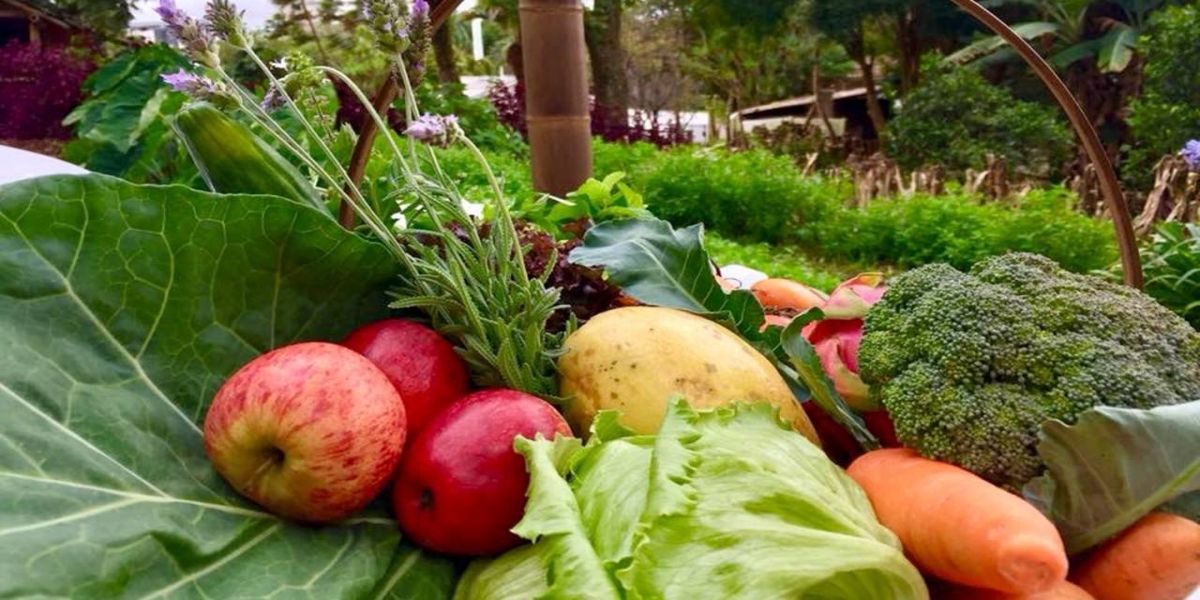 Fundetec, Tecpar e Biolabore assinam contrato para certificar produtores orgânicos