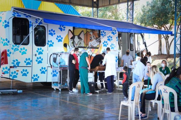 Castramóvel abre cadastramento para cirurgias gratuitas de cães e gatos no Cras Riviera na próxima terça-feira (19)