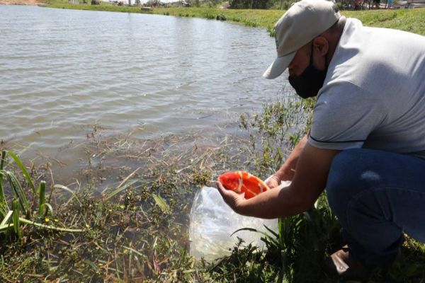 Lago do Ecopark Oeste ganha peixes coloridos
