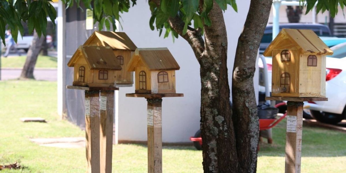 Projeto Jardins de Mel: incentivo à criação de abelhas sem ferrão é aprovado