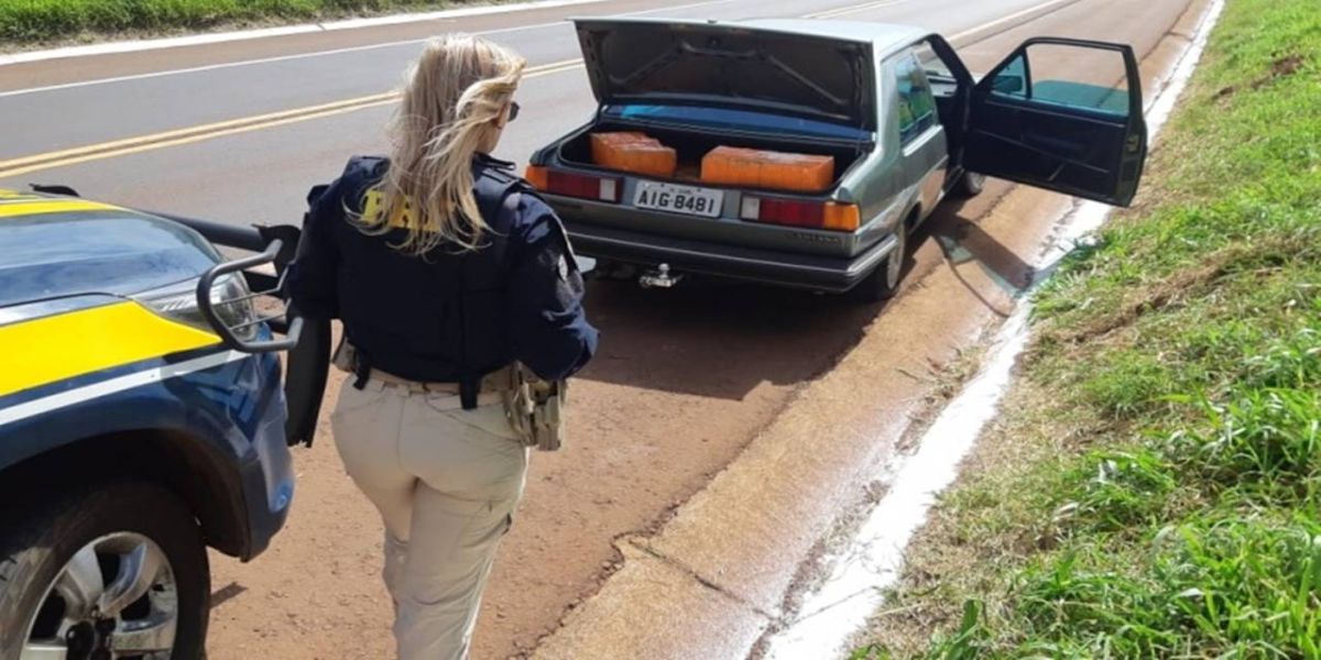 PRF prende motorista bêbado, sem carteira e com mais de 230 quilos de maconha no carro no Paraná