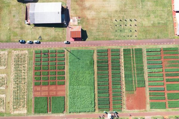 Edição de Inverno: Show Rural Coopavel terá fase presencial de 8 a 11 de setembro