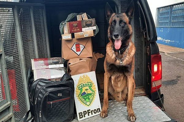 BPFRON apreende cigarros de cravo contrabandeados em Cascavel