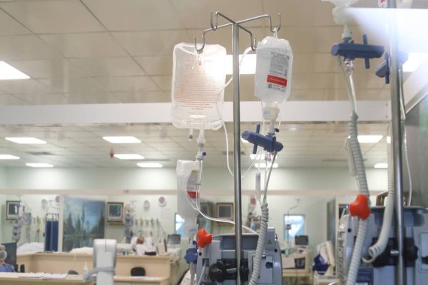 Paraná completa seis meses de enfrentamento ao novo coronavírus