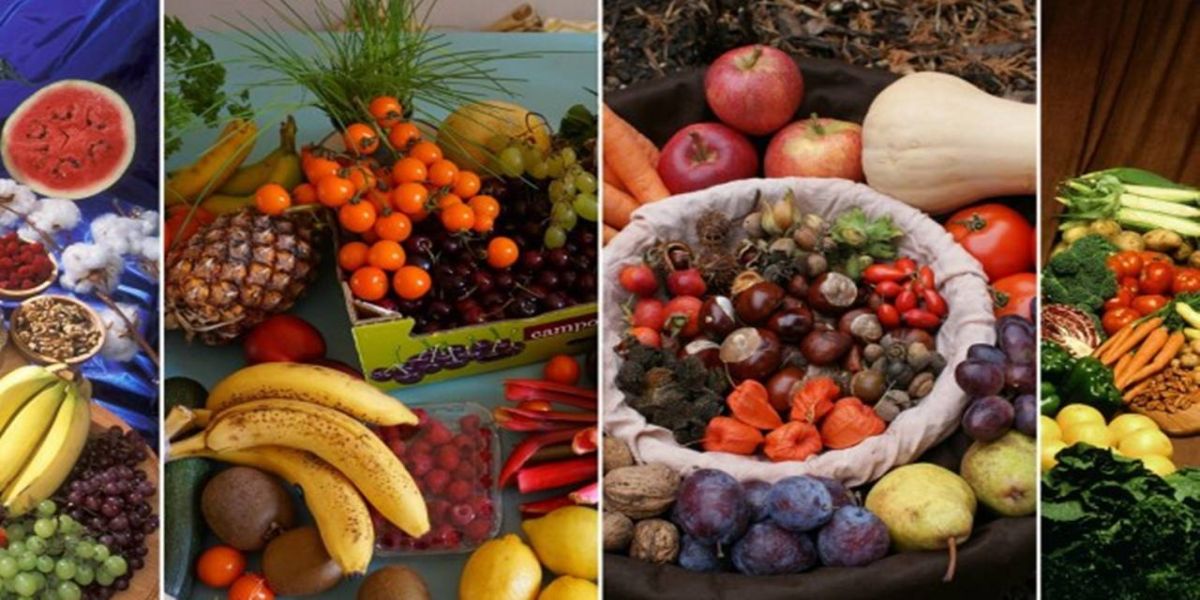 Unioeste faz mapeamento de produção orgânica no Oeste do Paraná