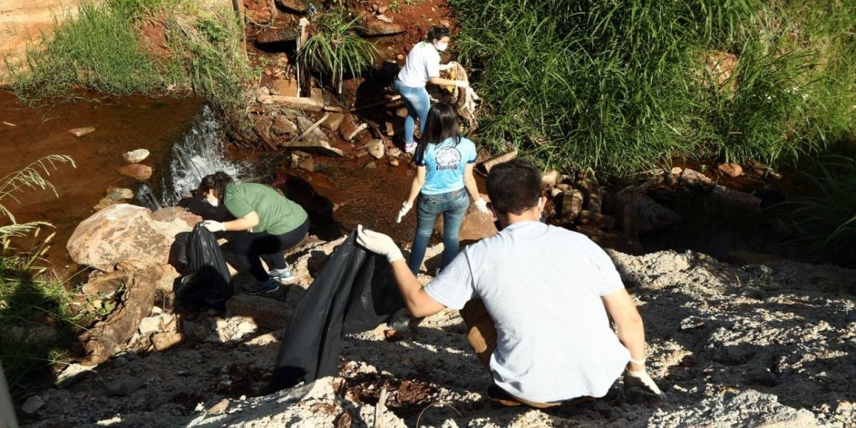 Voluntários promovem limpeza do córrego Bezerra e plantio de árvores