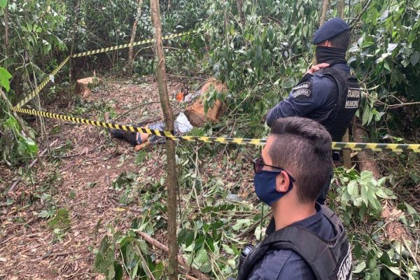 Jovem morre após ser atingindo por arvore durante corte em Juvinópolis