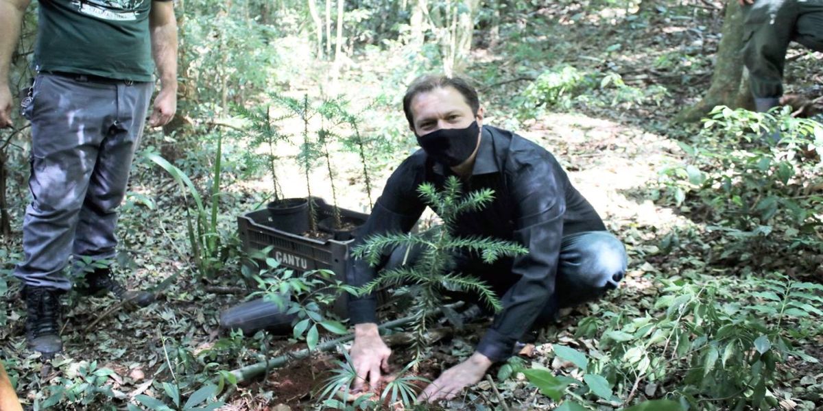 Zoológico de Cascavel: Unioeste participa do plantio de mudas de Araucária