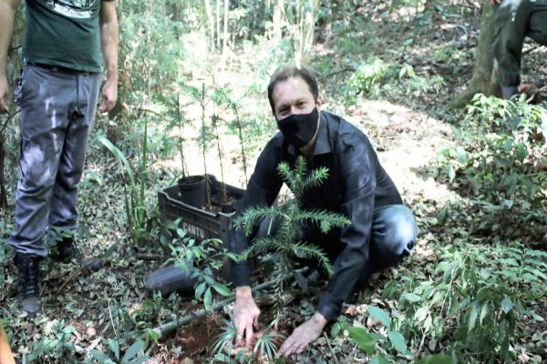 Zoológico de Cascavel: Unioeste participa do plantio de mudas de Araucária