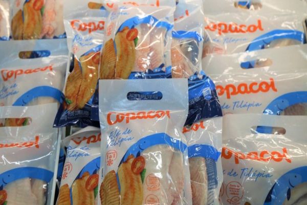 Copacol inicia exportação de tilápia resfriada aos Estados Unidos