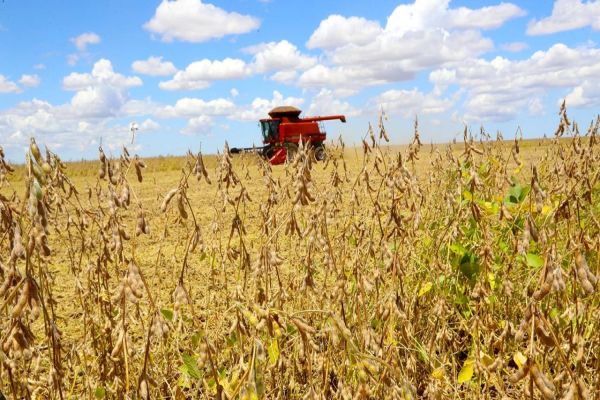 Paraná deverá produzir 40 milhões de toneladas de grãos
