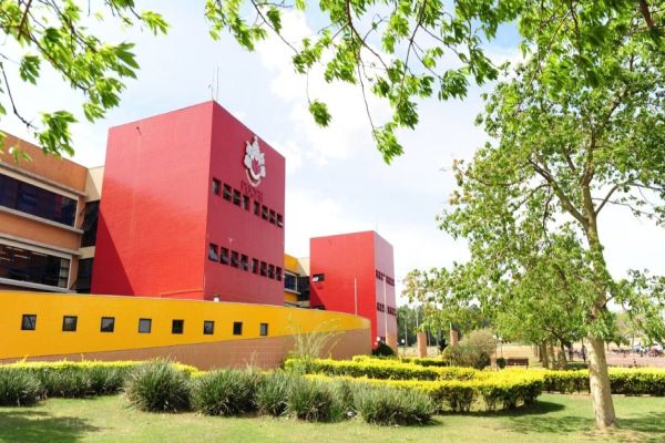 Pesquisa revela que tratamento da anemia melhora qualidade de vida de pacientes com doença renal