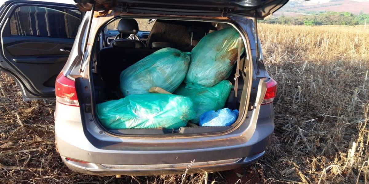 PRF apreende mais de 200 quilos de maconha em Marechal Cândido Rondon (PR)
