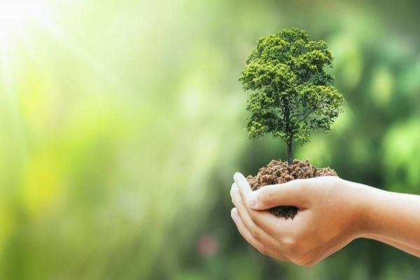 Ecocataratas esteve nas principais ações da Semana de Conscientização Ecológica Adote o Verde