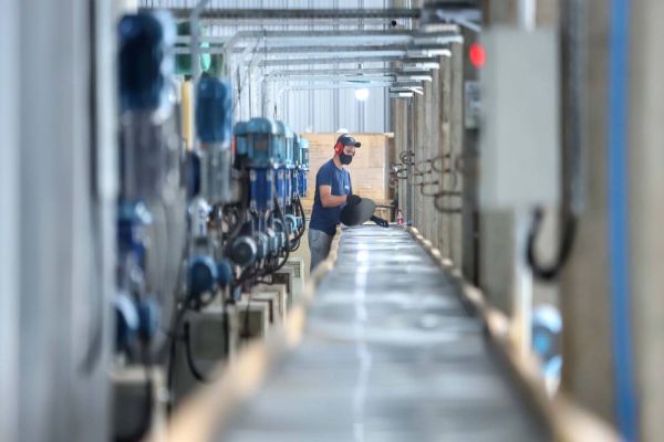 Imagem referente a notícia: Paraná é o terceiro estado que mais gera empregos em 2025: 80 mil vagas de janeiro a abril