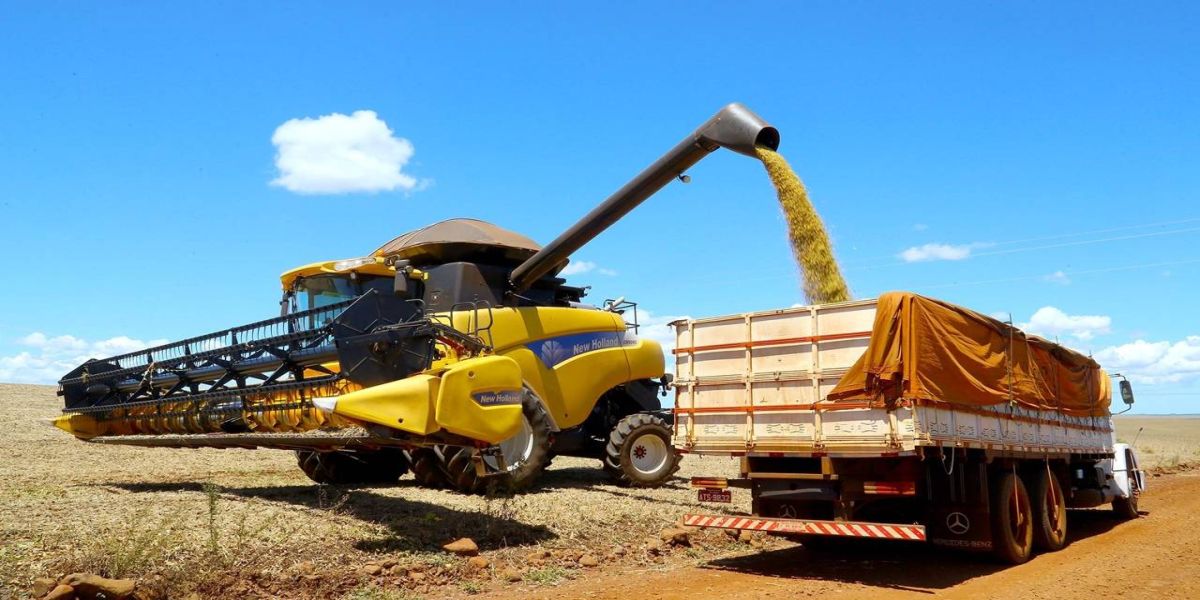 Analistas discutem comercialização e clima na safra 20/21