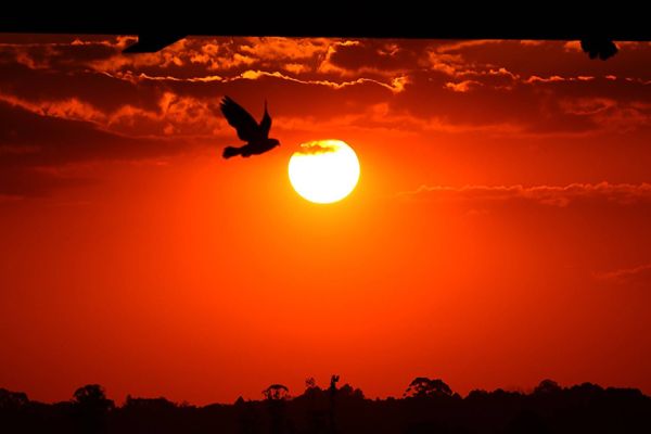 Cenário de calor e estiagem agrava crise hídrica no Paraná