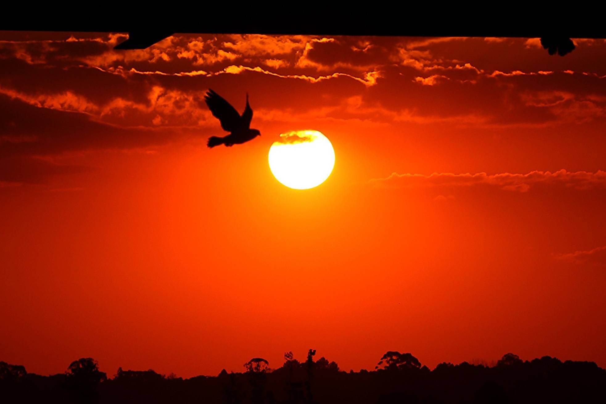 Cenário de calor e estiagem agrava crise hídrica no Paraná