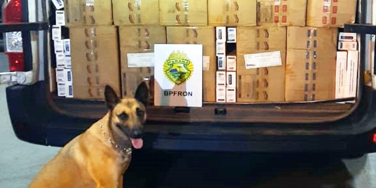 BPFRON apreende veículo com rádio comunicador e carga de cigarros na cidade Palotina