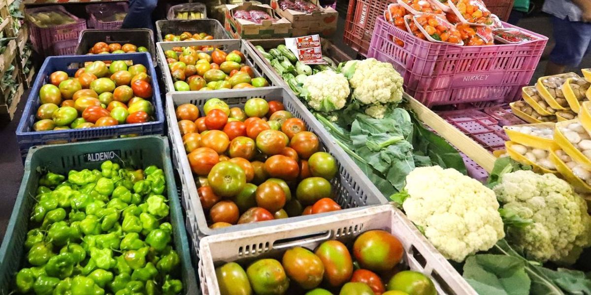 Cascavel inicia a segunda etapa de distribuição dos kits da merenda escolar da Agricultura Familiar