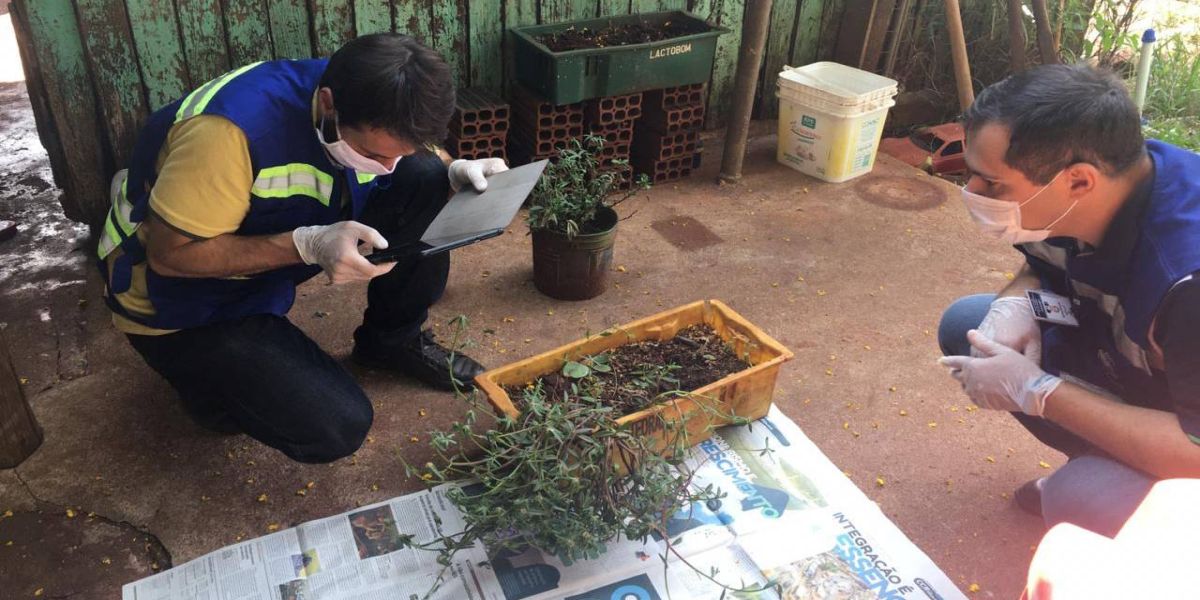 Paraná monitora caso das sementes clandestinas