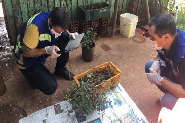 Paraná monitora caso das sementes clandestinas