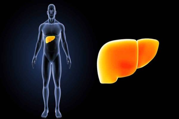 SUS: mais de 130 mil pessoas recuperaram-se da hepatite C desde 2019