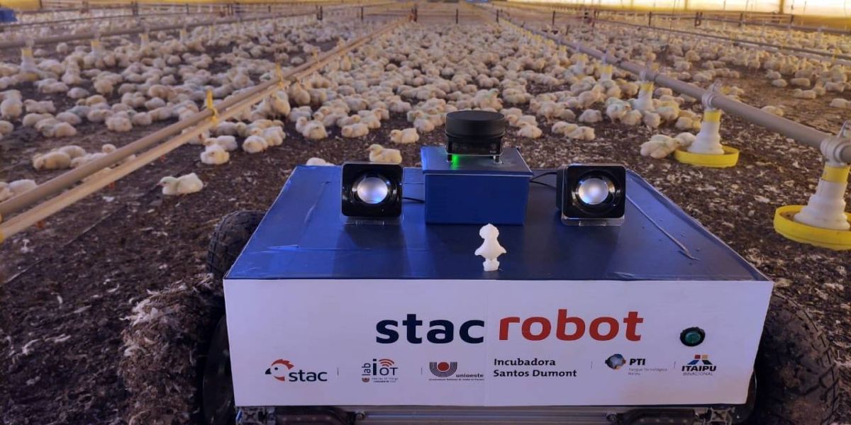 Unioeste: Acadêmicos e ex-alunos conquistam primeiras colocações em desafio nacional da Embrapa