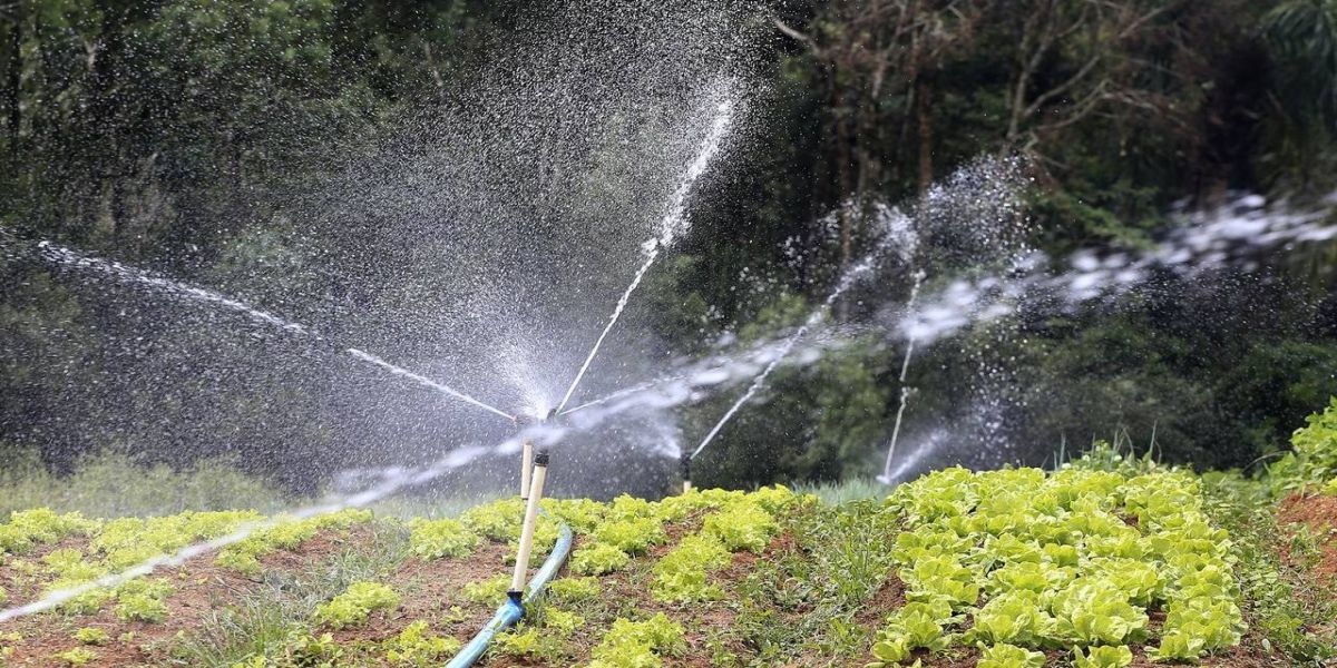 Produção de alimentos também precisa de mais chuva